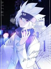 pr九天狐v最新版